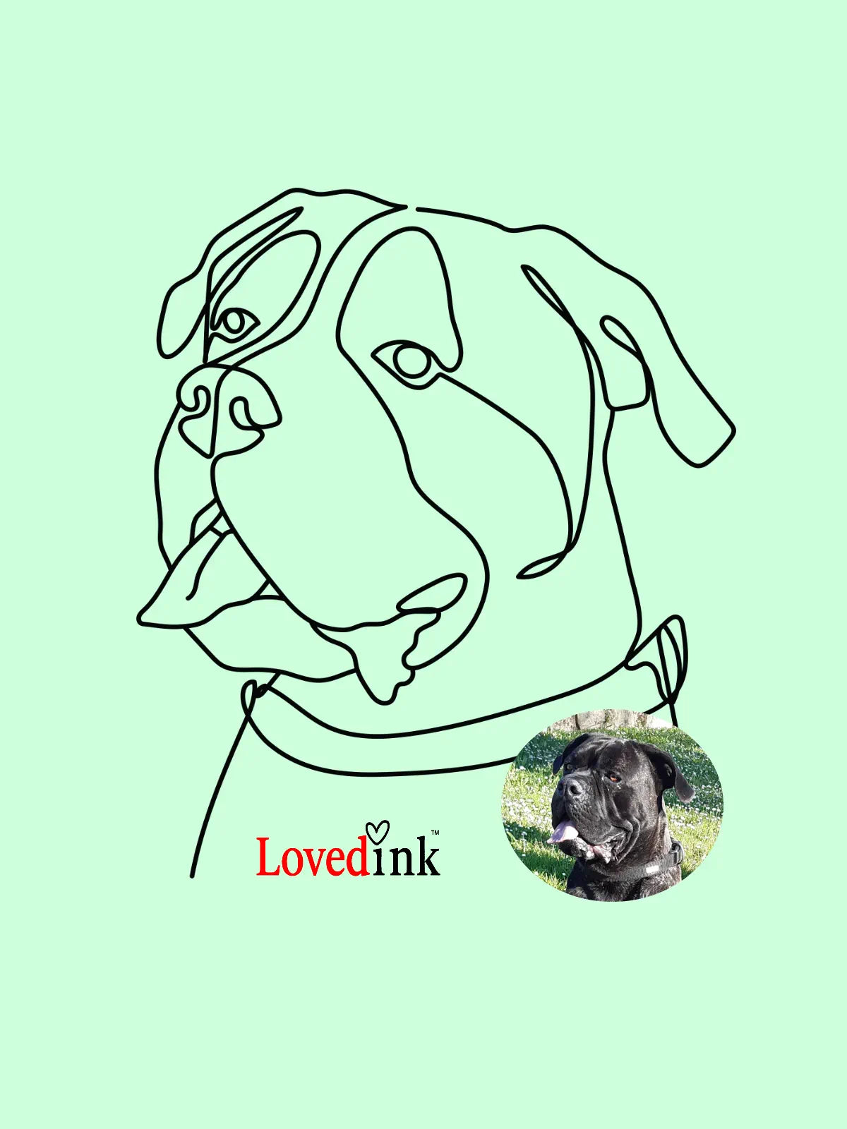 Custom digital line art portrait — big dog minimalist drawing from photo (Lovedink)