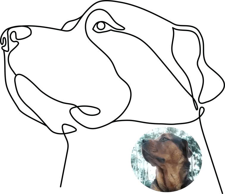 Custom Lovedink Digital Only - Lovedink