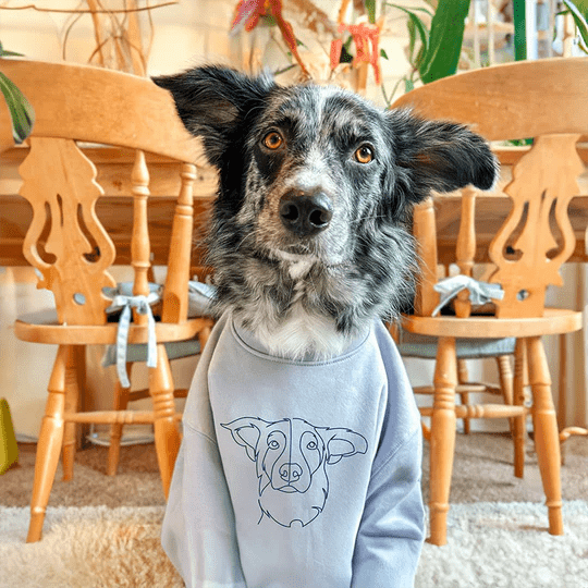 dog wearing custom embroidered sweatshirt with minimalist pet portrait line art