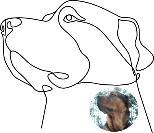 Custom Lovedink Digital Only - Lovedink